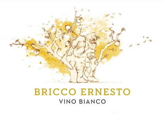 Bricco Ernesto Vino Bianco 2023