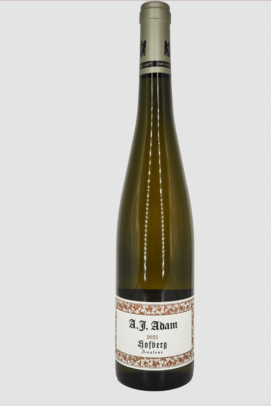 Weingut A.J. Adam - Hofberg GG Trocken 2022 (750ml)