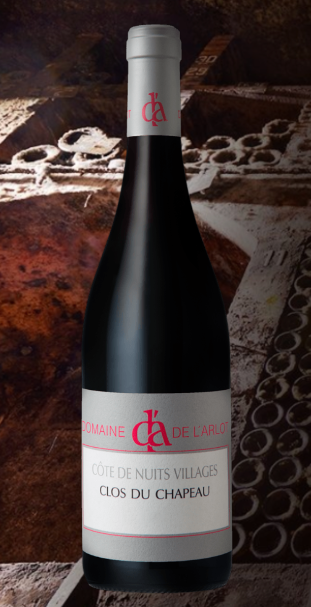 Domaine de L'Arlot - Côtes De Nuits Villages Clos Du Chapeau 2022 (750ml)