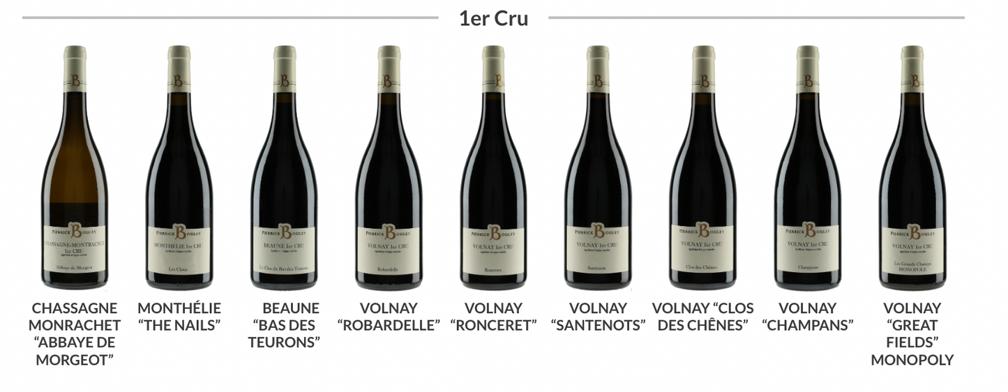 Domaine Pierrick Bouley - 2021 1er Cru Mix Case (6 x 750ml)