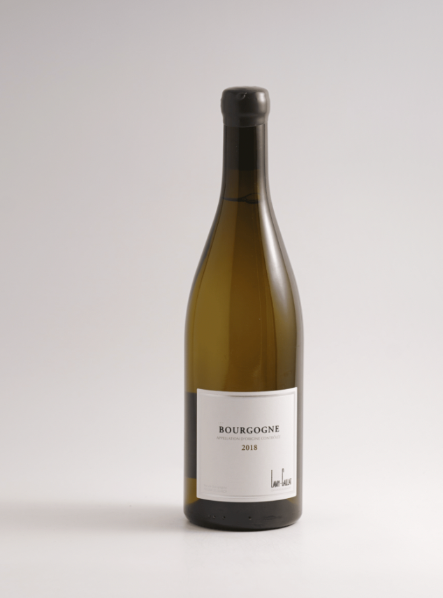 Domaine Lamy-Caillat - Bourgogne Blanc 2021 (750ml)