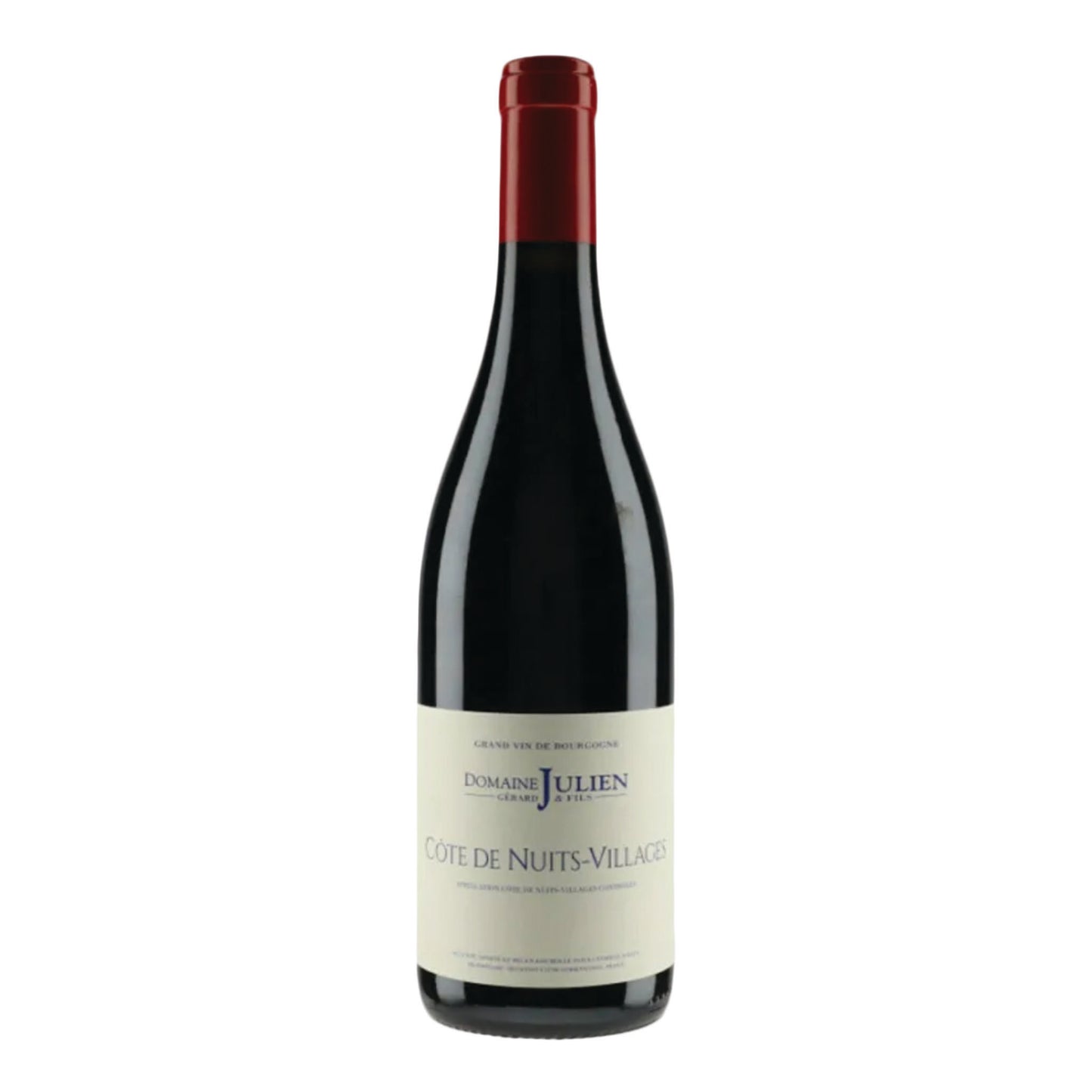 Domaine Gérard Julien et Fils - Cote De Nuits Villages 2022 (750ml)