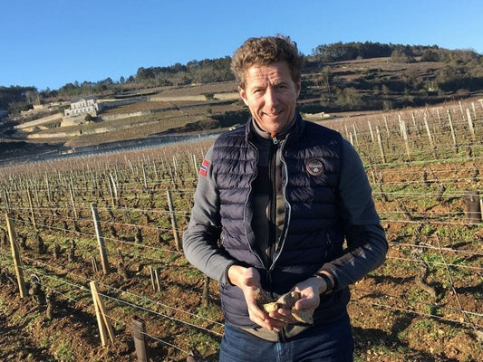 Exploring Terroir: Domaine David Duband Masterclass
