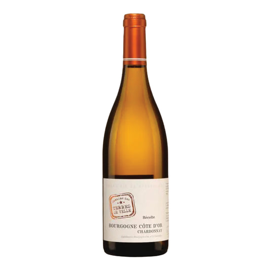 Domaine Des Terres de Velle Bourgogne Côte d'Or 2021 (750ml)