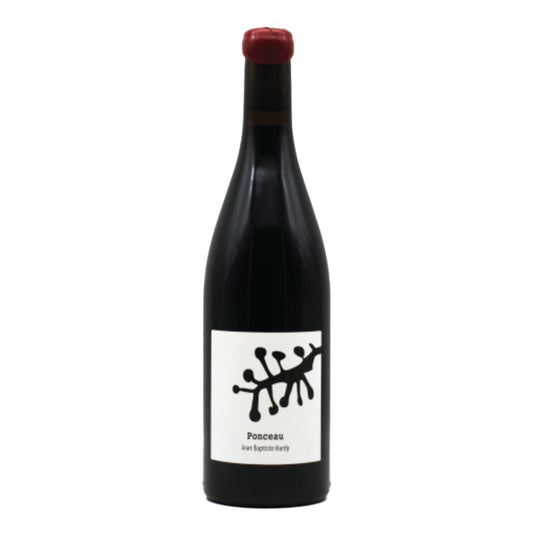 Jean-Baptiste Hardy - Ponceau Rouge 2022