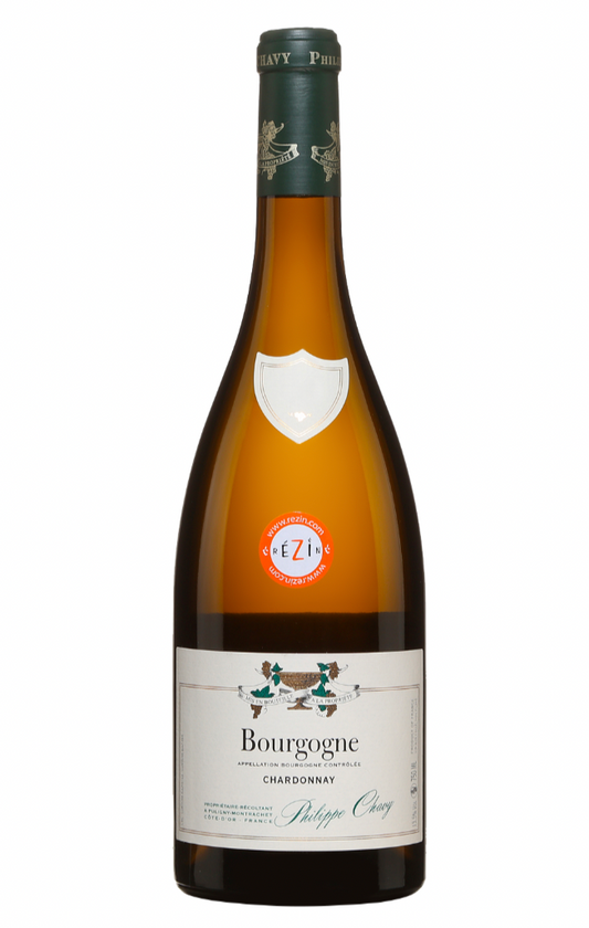 Domaine Chavy Bourgogne Côte d'Or 2020 (750ml)