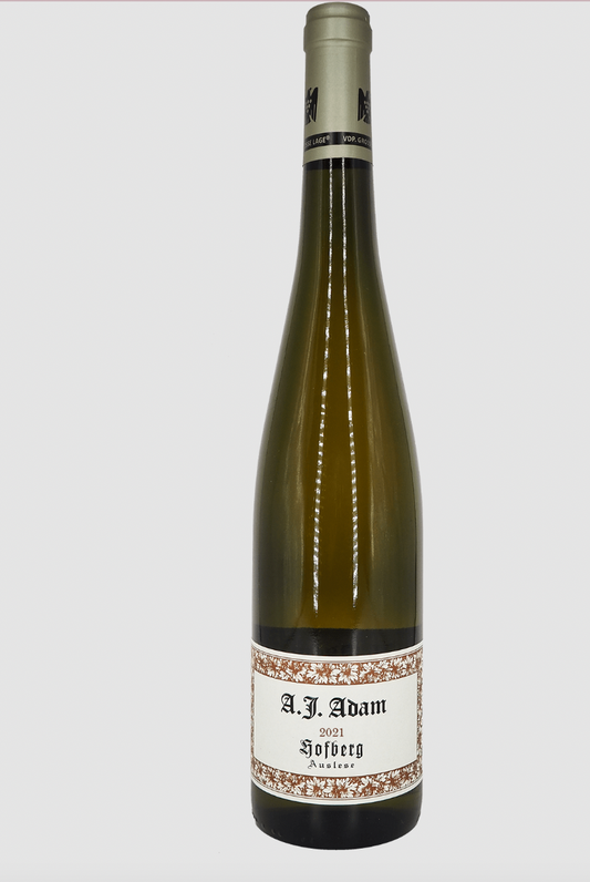 Weingut A.J. Adam - Hofberg GG Trocken Magnum 2022 (1500ml)