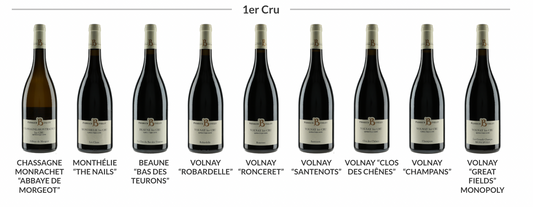 Domaine Pierrick Bouley - 2020 1er Cru Mix Case (6 x 750ml)