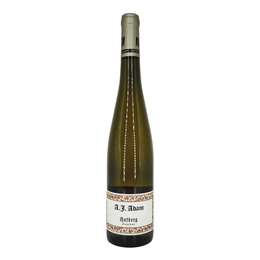 Weingut A.J. Adam - Hofberg GG Trocken 2023 (750ml)